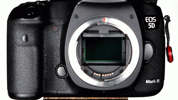 Here you can see the camera's mirror flipping up. What you can't see is the shutter behind it quickly opening and closing.